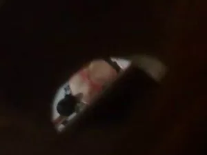 Abby videos latinos  ...